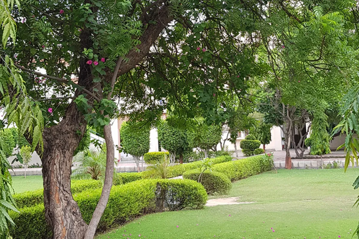 Apeejay Stya University - [ASU], Gurgaon campus - Image 3