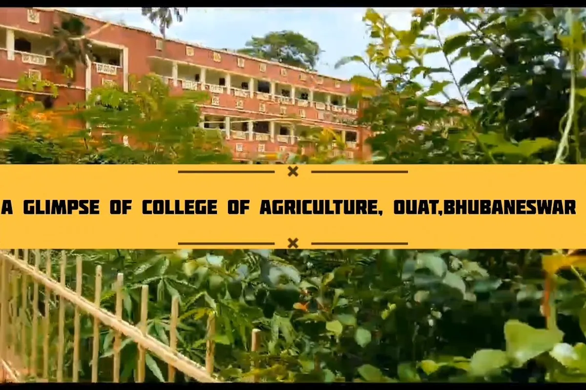 Centurion University of Technology and Management - [CUTM], Bhubaneswar campus - Image 4