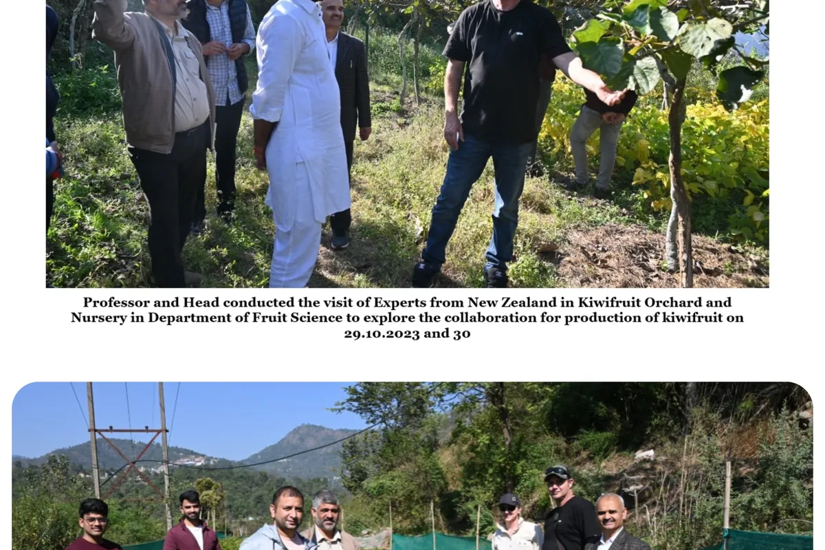 Dr YS Parmar University of Horticulture and Forestry - [YSPUHF], Solan campus - Image 4