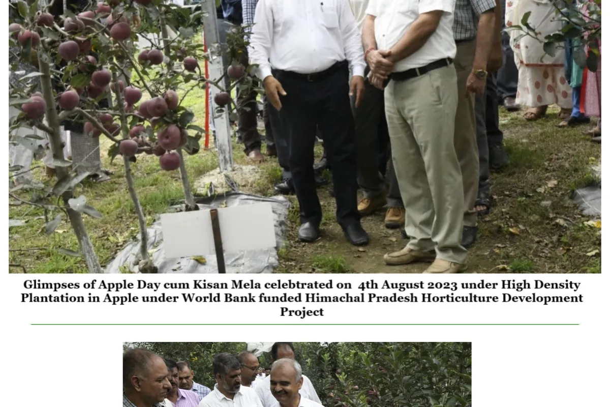 Dr YS Parmar University of Horticulture and Forestry - [YSPUHF], Solan campus - Image 5