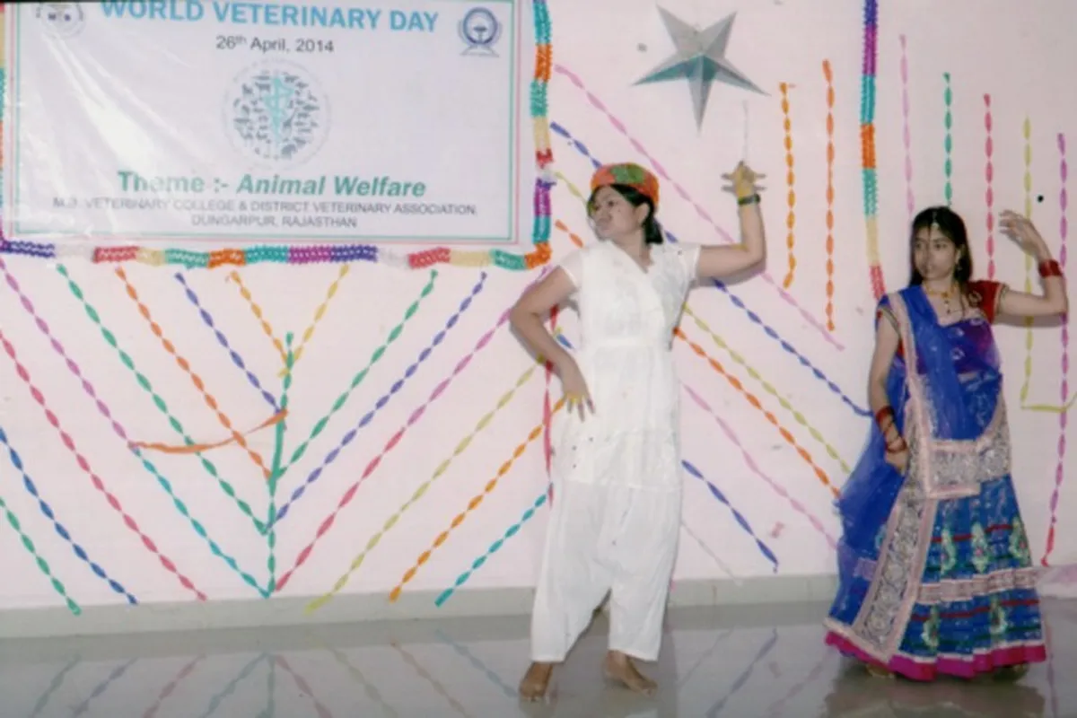 MB Veterinary College, Dungarpur Rajasthan campus - Image 2