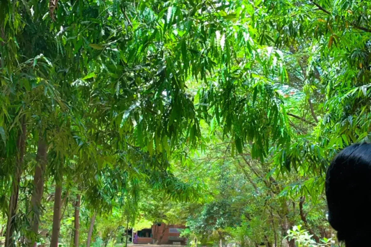 Rajalakshmi Engineering College - [REC], Chennai campus - Image 2