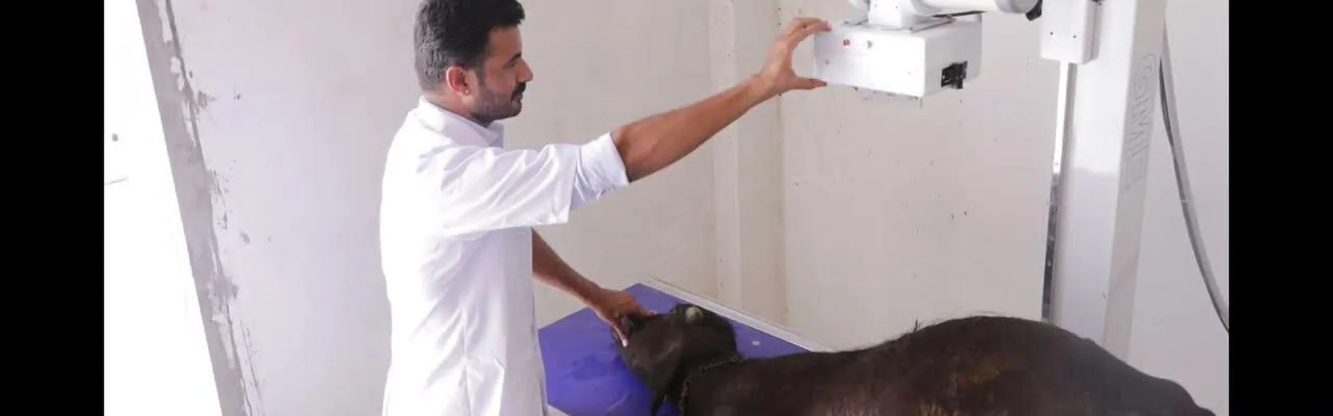 Sanskaram College of Veterinary And Animal Science Jhajjar