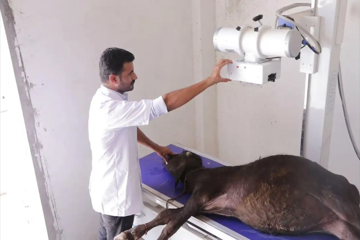 Sanskaram College of Veterinary And Animal Science Jhajjar campus - Image 1