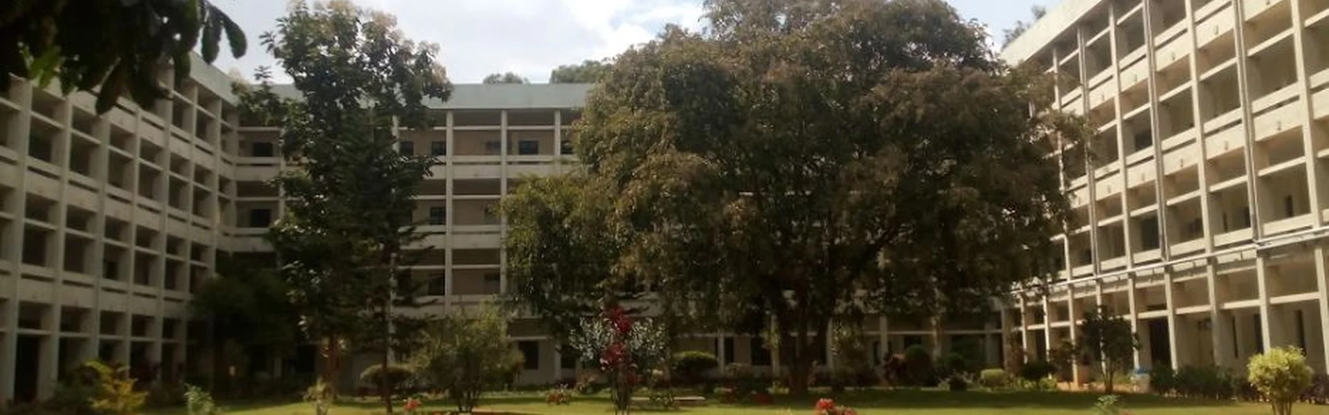 T. John College of Pharmacy, Bangalore