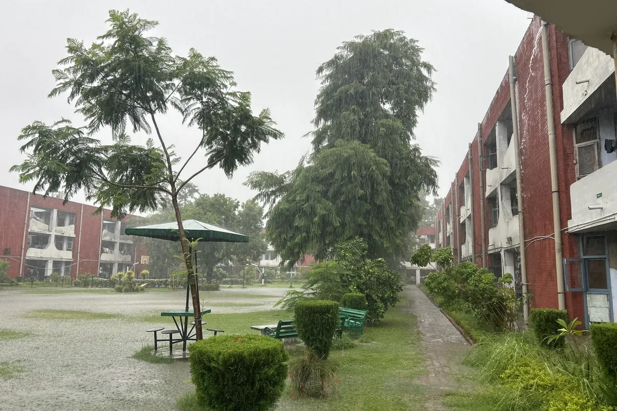 University Institute of Pharmaceutical Sciences, Chandigarh campus - Image 4